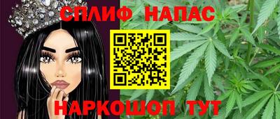 гашик Будённовск