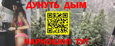 гашик Будённовск