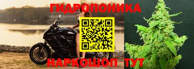 гашик Будённовск