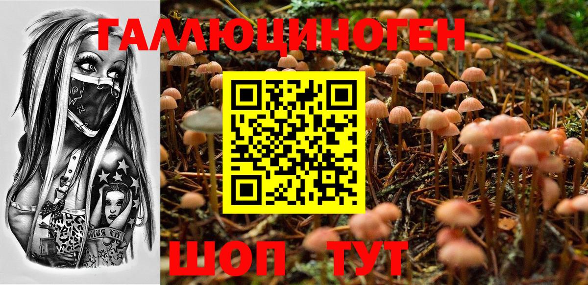 Галлюциногенные грибы Psilocybe  Псилоцибиновые грибы GOLDEN TEACHER  Тавда  Вход с VPN 